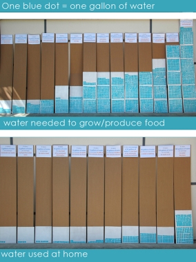 The Water Project - Data Visualization